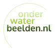 Filmer of cameraman voor onder water - Onderwaterbeelden.nl