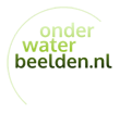 zout water Archieven - Onderwaterbeelden