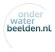 Filmer of cameraman voor onder water - Onderwaterbeelden.nl