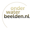 Zandplaten voor de Nederlandse kust - Onderwaterbeelden